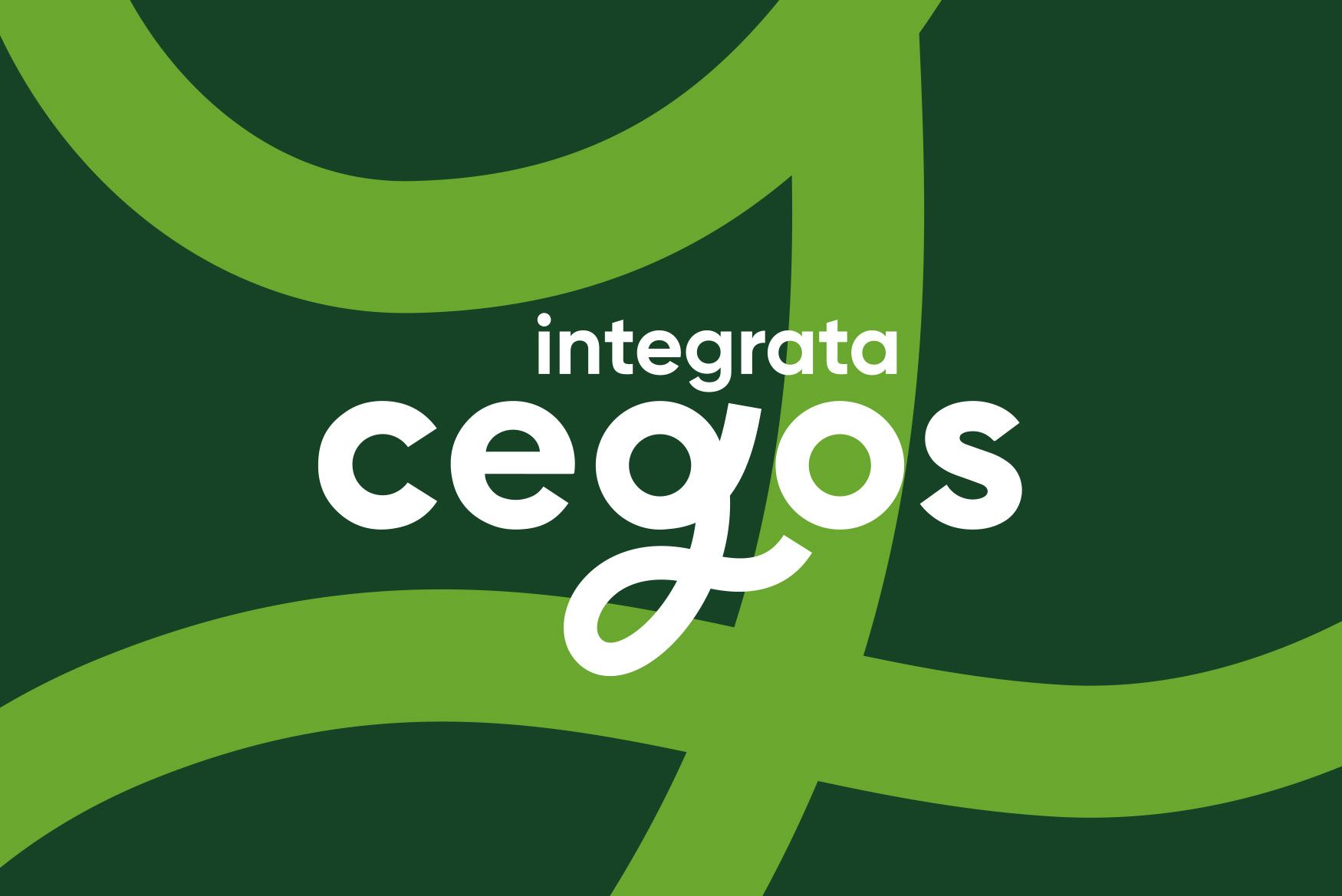 Corporate-Design-1-Cegos-Integrata-Designagentur-Stuttgart-Kreativbetrieb